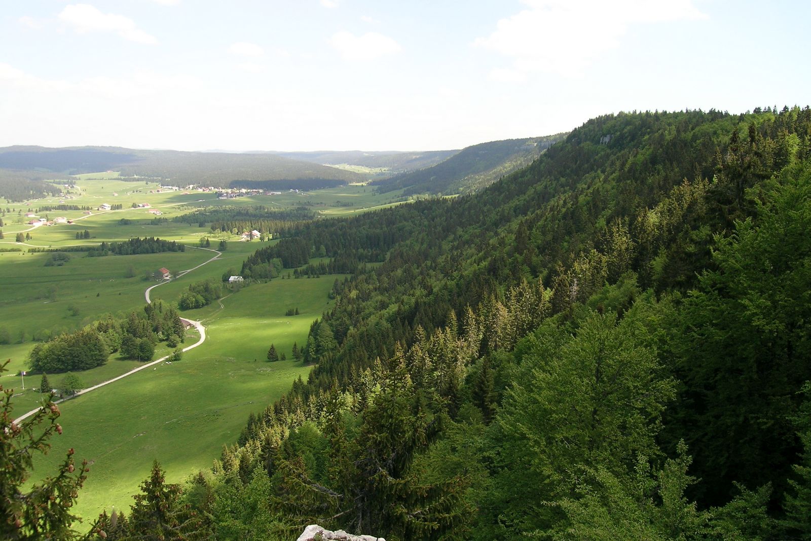 Foret du Risoux