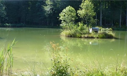 Activités aquatiques et pêche