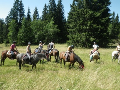A cheval