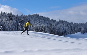 Cross-country skiing
